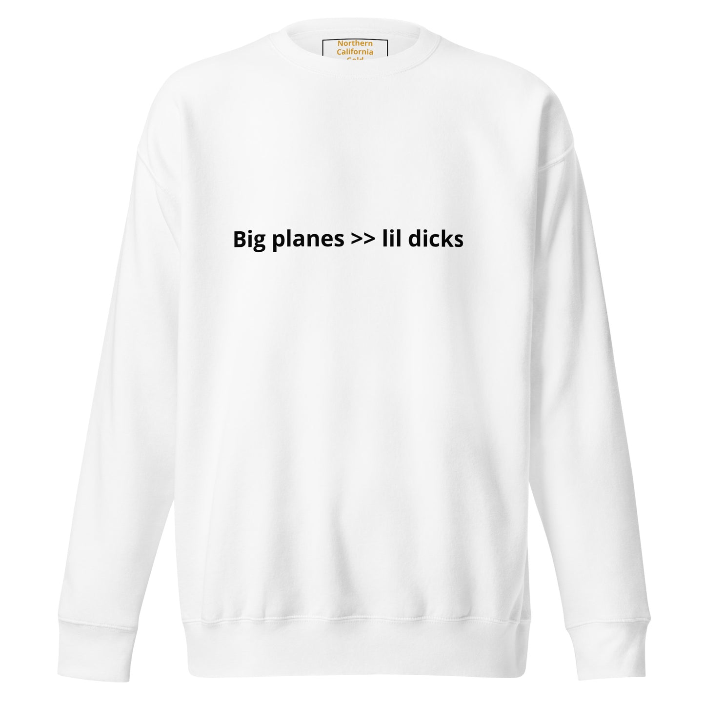 Big Plane Energy Unisex Premium Sweatshirt